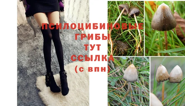 гашик Артём