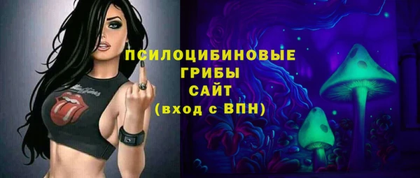 PSILOCYBIN Алзамай