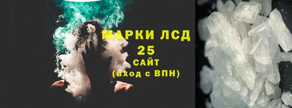 PSILOCYBIN Алзамай