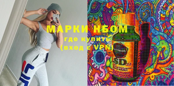 PSILOCYBIN Алзамай